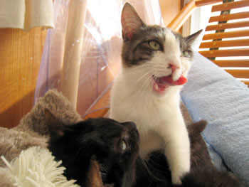 20080228-1.jpg