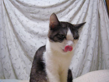 20080228-2.jpg